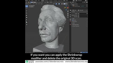 Blender Secrets - Reconstruct lower subdivisions from a 3D scan