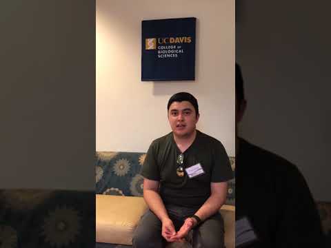 UC Davis Biology Undergraduate Scholars Program Alumni Share Their Stories