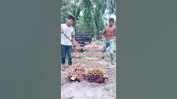 ၂၄ စက္တင္ဘာ ၂၀၂၁