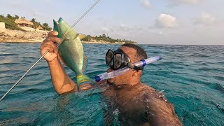 Daytime spearfishing in Curacao | Colaz Smith shoot big fish + Jamaican restaurant