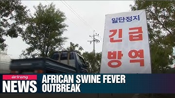 S. Korea confirms two more cases of African swine fever at pig farms in Paju