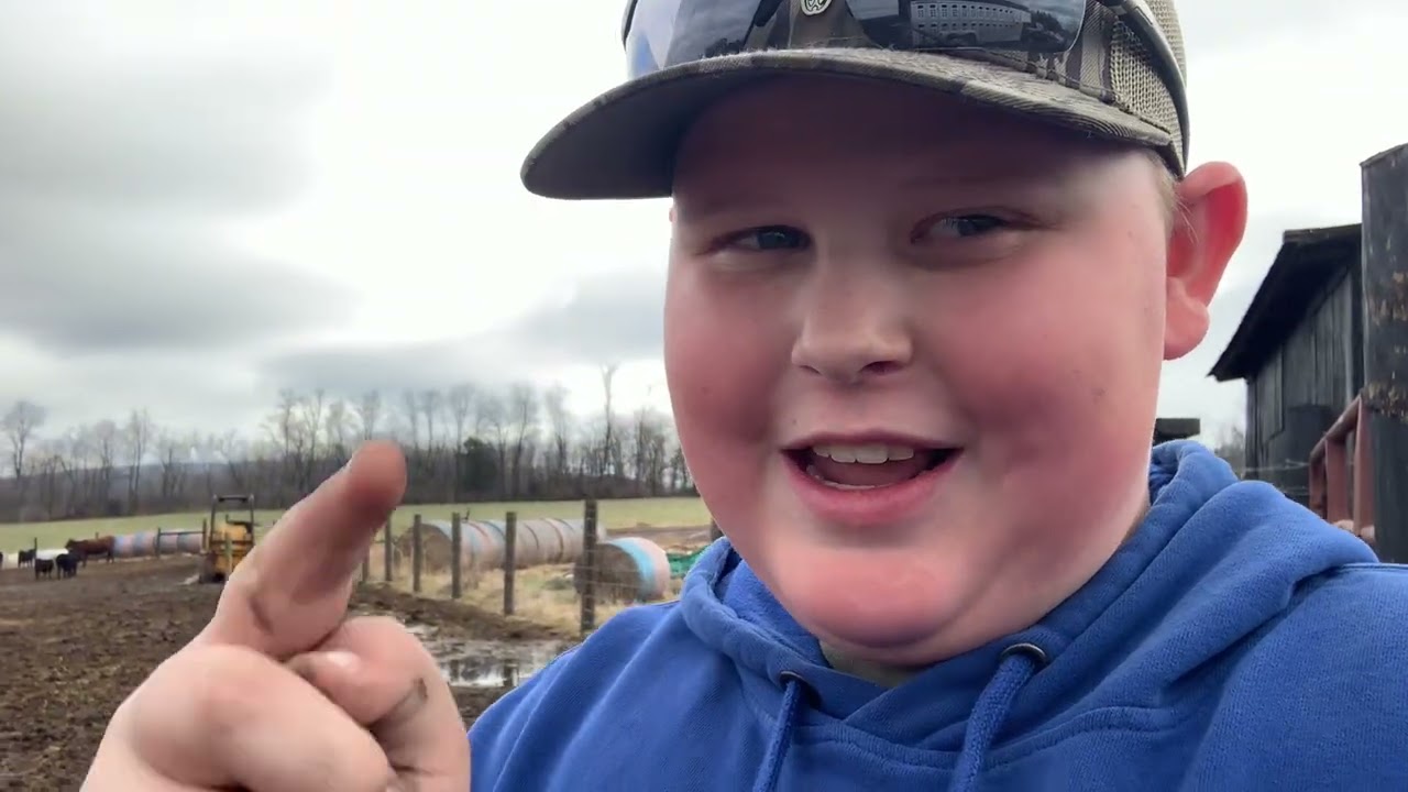 Loading a few cows to take to the sale 🐄