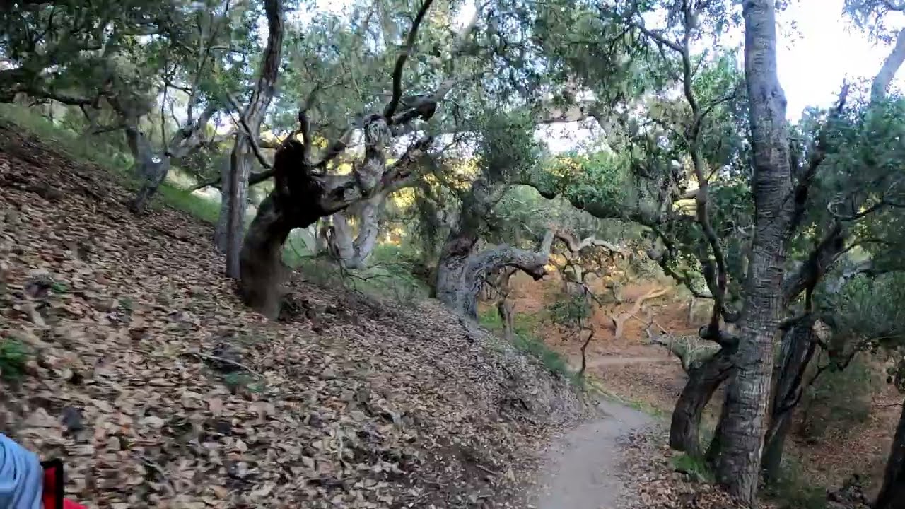Panhandle Trail and Discovery Trail - Pismo Preserve at Pismo Beach - Best MTB Trail at Pisbo