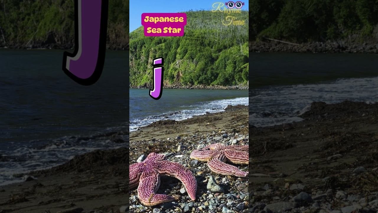 Starfish G to L + RhymeTime nursery rhymes & kids songs