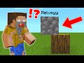 I Shapeshift To Cheat In Minecraft Hide And Seek!