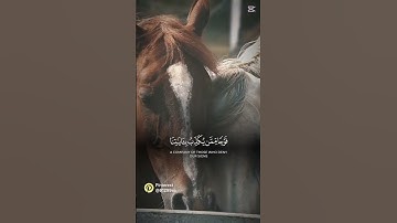 قرآن كريم #اللهم_صل_على_محمد_وال_محمد #اكسبلور #اكسبلور_explore #المصحف #لايك #الرحمن