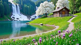 Beautiful Piano Music 🌿 Relaxing Music for Anxiety Relief & Deep Sleep #2