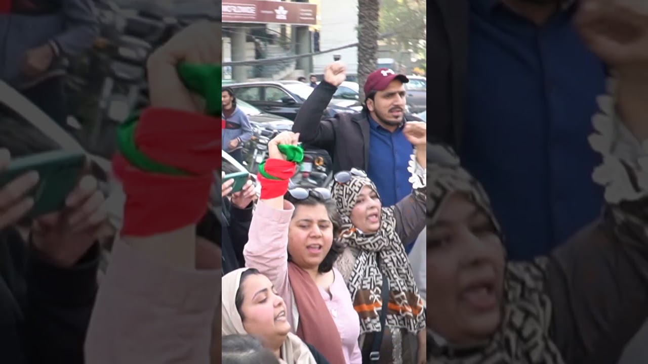 Pakistan Elections 2024 protest | Imran Khan | PTI Supporters Protest Against 'Rigging' Of Votes