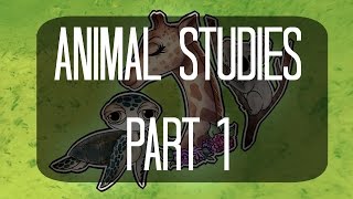 Animal Studies Part 1 Giraffe, Koala, And Sea Turtle