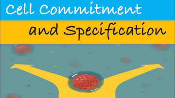 Cell Commitment and Specification | Development Biology | CSIR NET #biology #csirnet #csir