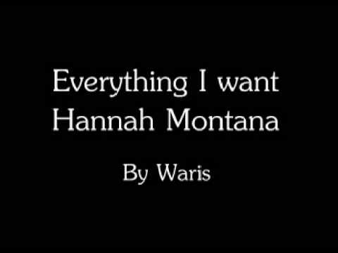 Hannah Montana The Movie - Everything i want *Lyrics* ( steve rushton )