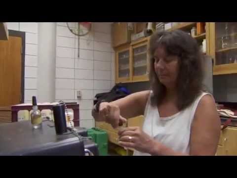 Marine Ecologist Nancy Rabalais: 2012 MacArthur Fellow - YouTube