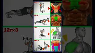 Back exercises Chest exercises Shoulder exercises six pack exercises 