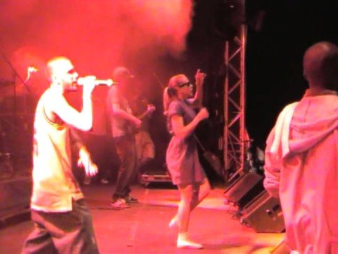 WAXOLUTIONISTS DONAUINSELFEST 2008