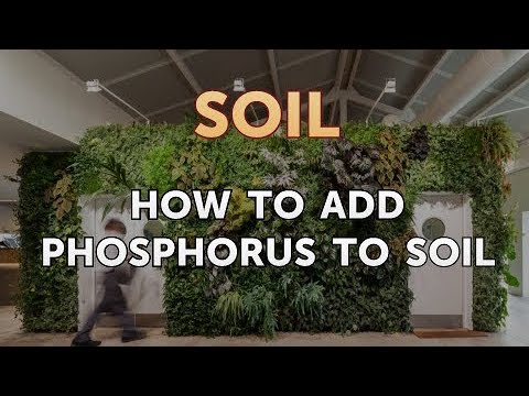 How to Add Phosphorus to Soil