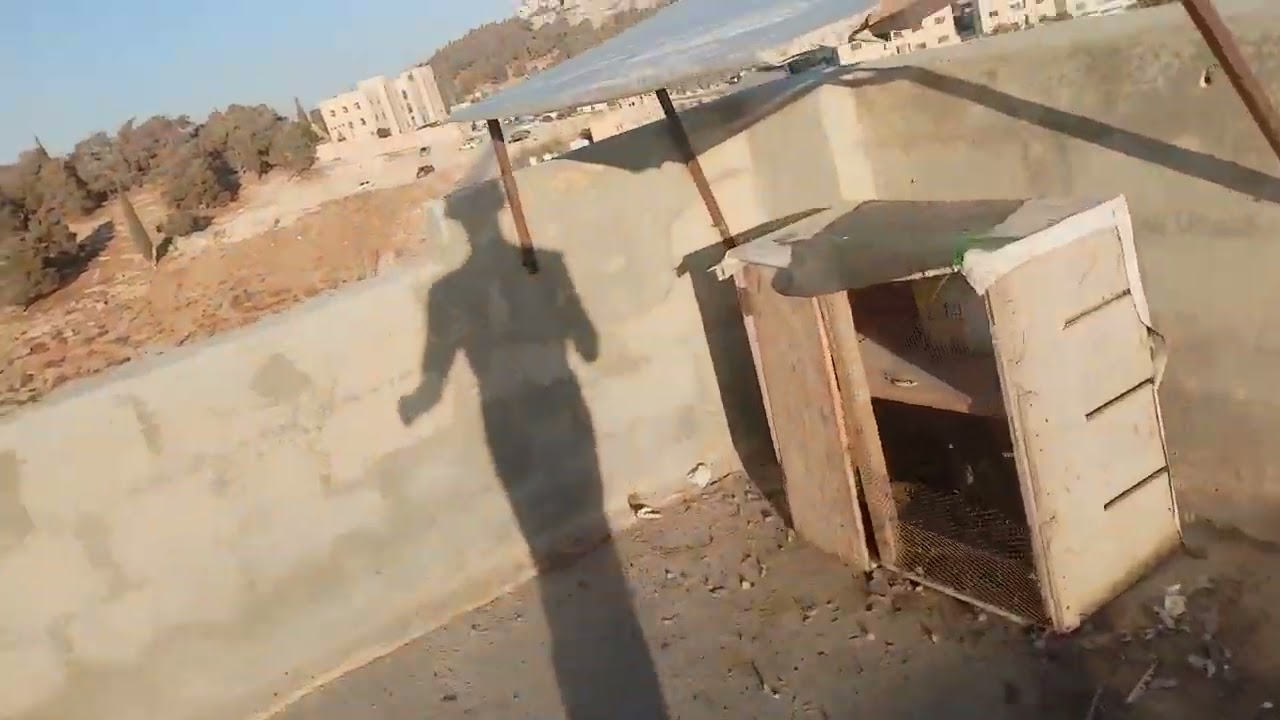 الحمام جننتني بل مطار تبعها شوف وستمتع 😱💯