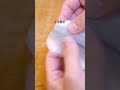 細魚を捌く　#cooking #魚