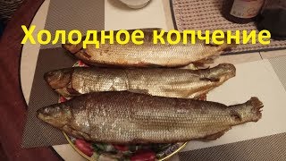 видео: Рыба холодного копчения в деревянной коптильни картинка: Рыба холодного копчения в деревянной коптильни