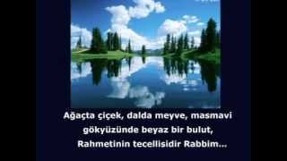 Penceremde kuşlar