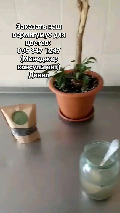Как применять ВЕРМИГУМУС ДЛЯ ЦВЕТОВ - YouTube