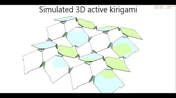 Simulated 2D and 3D Kirigami