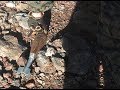 PUBG Tactics / Commentary by a Marine