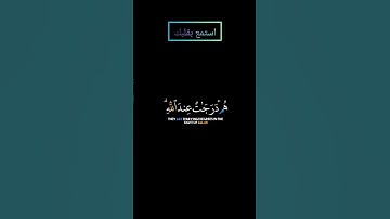 سورة آل عمران (هم درجات عند الله) بصوت #ياسر_الدوسري #قرآن #قران_كريم