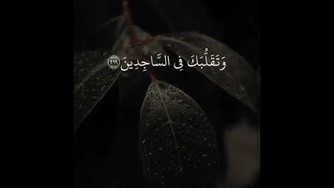 تلاوة رائعة بصوت القارئ وديع اليمين﴿ وتوكل على العزيز الرحيم﴾