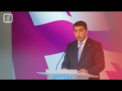 წინასაარჩევნო გარემო