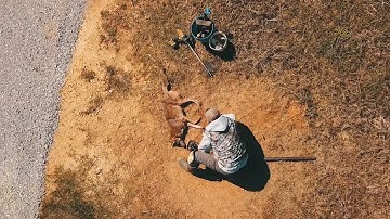 The 10 Commandments of Predator Trapping - The Management Advantage