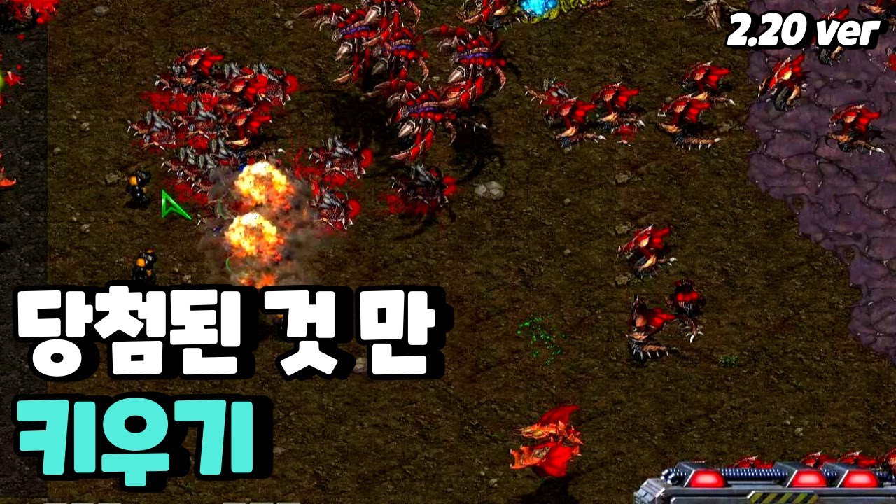 【 당첨된 것 만 키우기 2.20 】 딱 한 유닛!! [스타크래프트 리마스터 유즈맵-Starcraft Remastered Use Map]