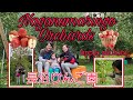 Naganumaringo Orchards Japan [Nov 2020] - 長沼りんご園