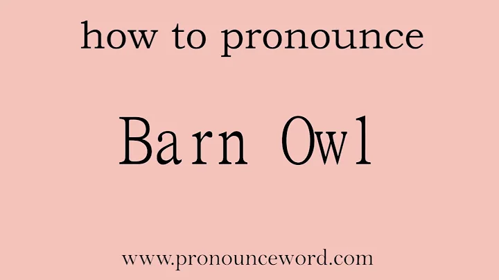 Barn Owl: How to pronounce Barn Owl in english (correct!).Start with B. Learn from me.