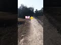 #noads