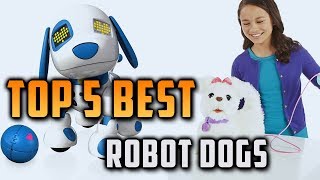 Top 5 Best Robot Dogs