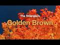 The Stranglers Golden Brown Lyrics mp3