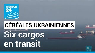 Céréales ukrainiennes : six cargos transitent à nouveau via le couloir humanitaire • FRANCE 24
