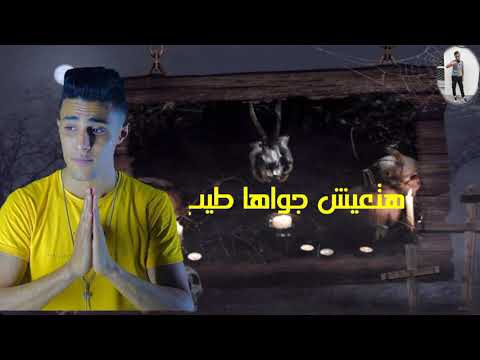 حالات واتس حلقولو مهرجان الناس زي السمك