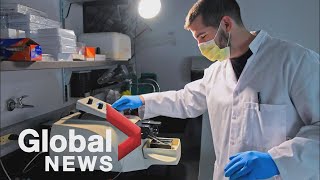 Drug Therapy Demand Inspires Search For Canadas First Psychedelics Research Chair