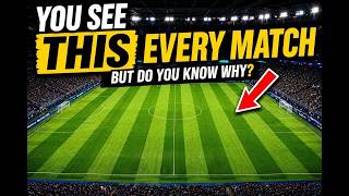 Watch For THESE During The FIFA World Cup ⭐