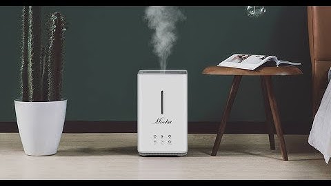 Stay Ahead of the Cold With 63% Off This ‘Revolutionary’ Humidifier