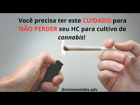 Cultivo Doméstico de Cannabis: POSSO COMPARTILHAR com familiares ou amigos? #cannabismedicinal