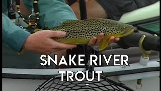 Snake River Trout | Fly Fishing Idaho