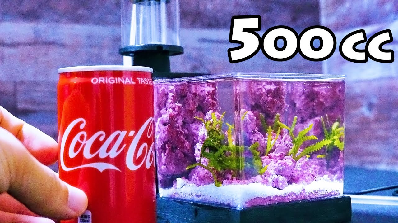 熱帯魚 ヒーター内蔵の外部フィルターを100均のタッパーで自作する 海水魚 Youtube