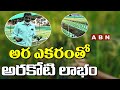 హైడ్రోఫోనిక్స్ విధానంలో పంట సాగుతో లాభాలు | Hydroponic Farming In Hyderabad | ABN Hits