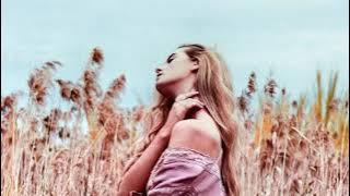 Download lagu And I Love You So 我是如此愛你 / Don Mclean [ 中英歌詞 ]