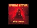 Dying Fetus - The Blood Of Power