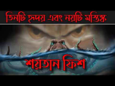 ভিডিও: লরেন্ট বিল্ট হাউস: লরেন্ট চেহেরের উড়ন্ত বাড়িগুলির আশ্চর্যজনক ছবি