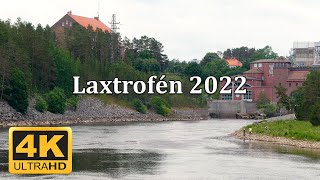 Laxtrofén Älvkarleby 2022