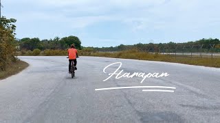 Harapan - DELLI (Official Lyric Video) 4K
